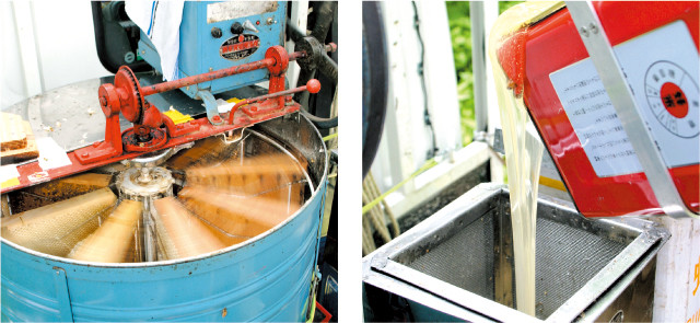 トチノキはちみつ