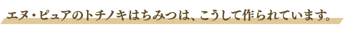 エヌ・ピュアのトチノキはちみつは、こうして作られています。