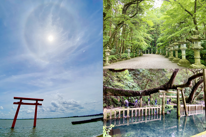 なるみんと行く！東国三社 日帰りヒーリングツアー
